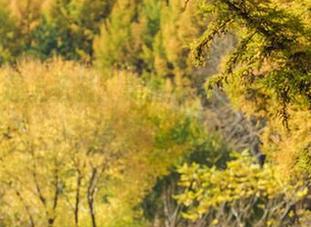 当爱丝遇上圣诞：美图精选，袜子狂欢让人乐到飞起！