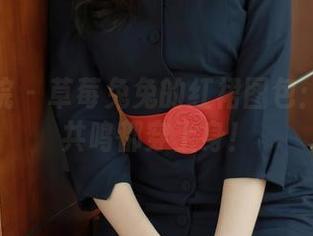 模范学院 - 草莓兔兔的红裙图包：把所有共鸣都穿上身！