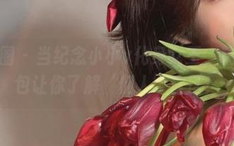 微密圈 - 当纪念小小v化身女王，精选图包让你了解‘佣人’盲区！