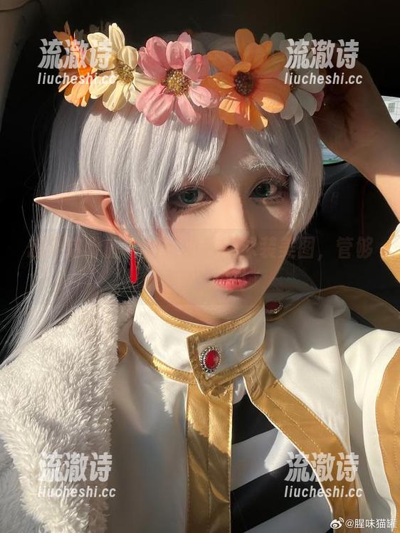 想要这份腥味猫罐的最新泳装美图，管够短暂的陶醉！-流澈诗