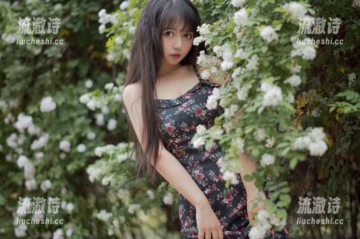 原图随你翻，黑猫猫ovo的猫女仆全集，看得我忍俊不禁！-流澈诗